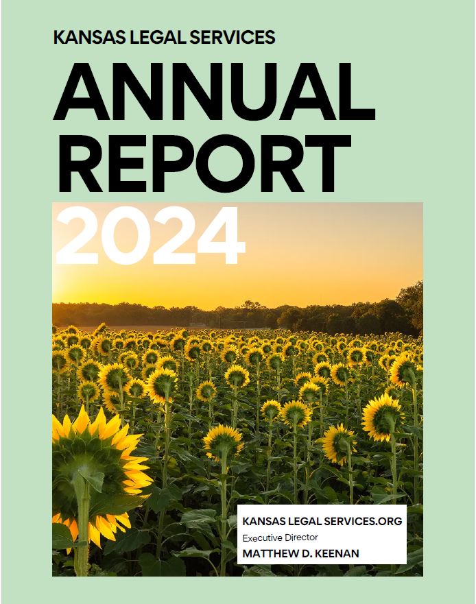 annual report cover