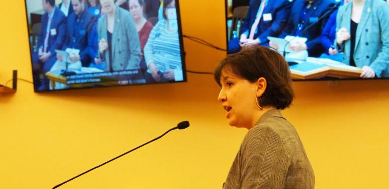 Ellen Bertels talking to KS legislature