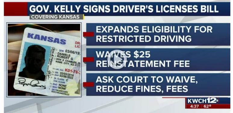 driver's license info