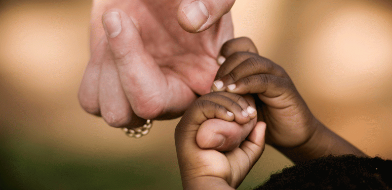 adult and baby hands