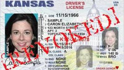 Kansas Aging and Disability Resource Guide 2014 Kansas Aging and Disability Resource Guide 2014